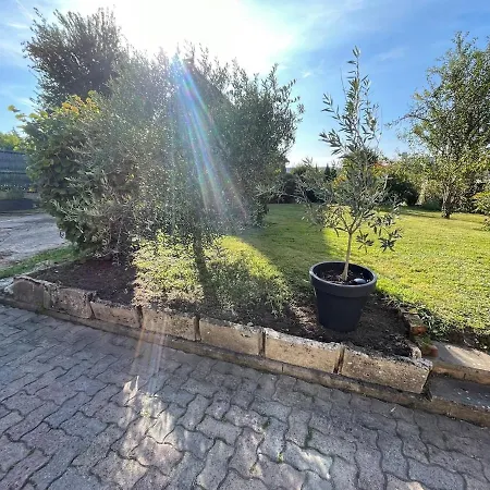 Villa Maison Dans Le Vignoble